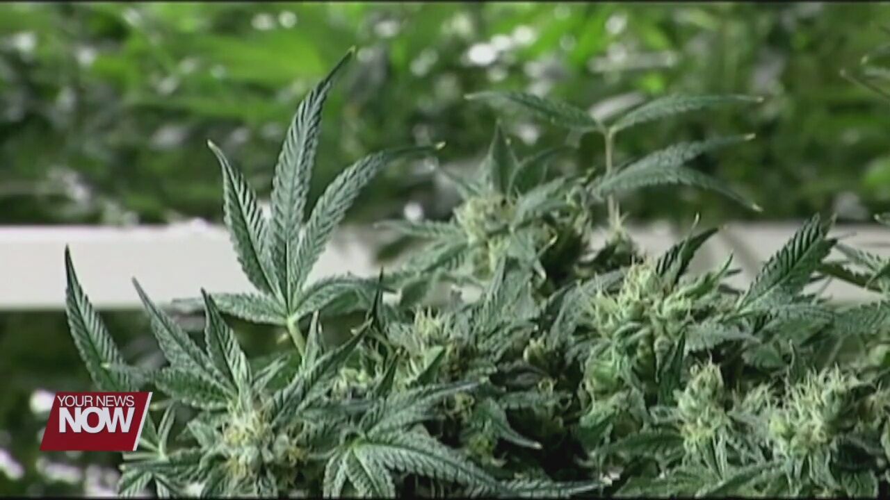 Ohio Speaker of the House doesn't think lawmakers will legalize recreational marijuana